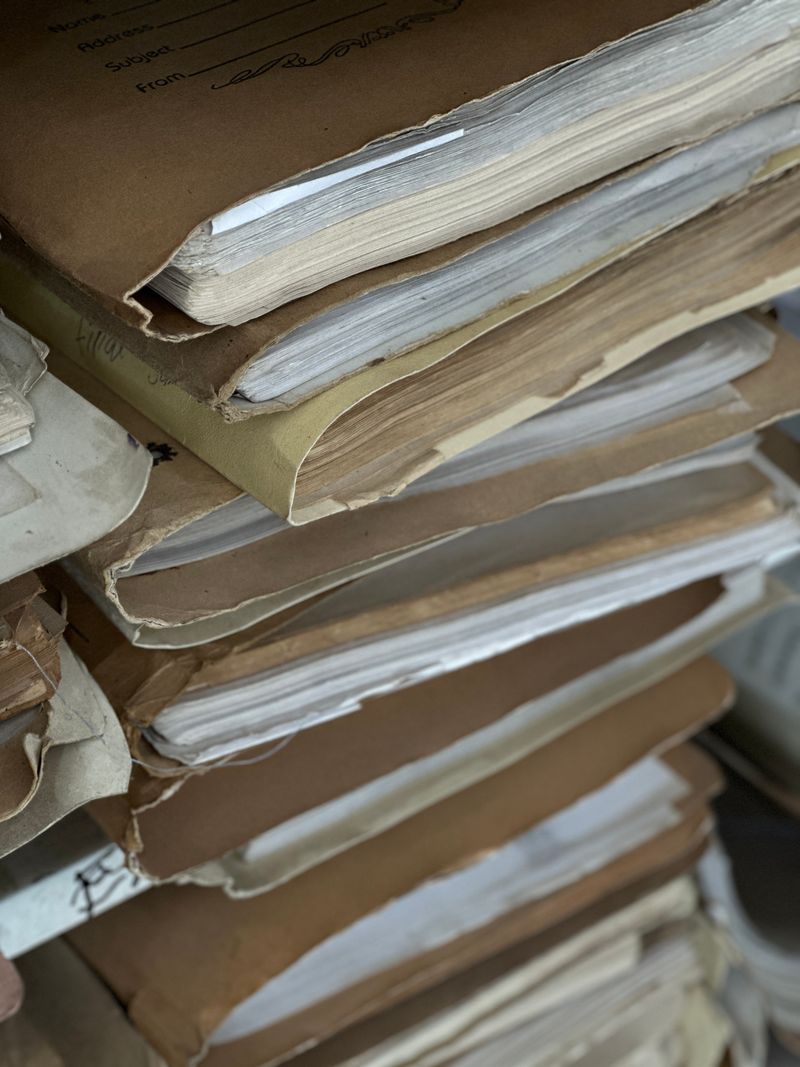 Stacked file folders of archived records